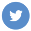 1400531301 twitter circle color