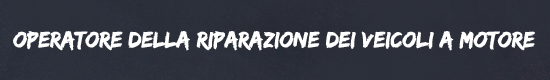 Operatore alla riparazione dei veicoli a motore | 3° anno