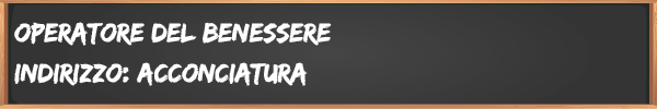 Operatore del benessere (Acconciatore) | 1° anno 2019-20